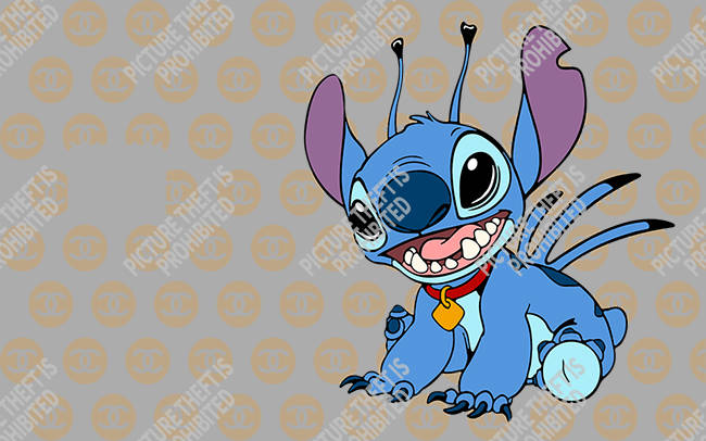 Bank  Card Sticker-BC-3124
